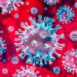virus, coronavirus, pandemia, enfermedad, covid-19
